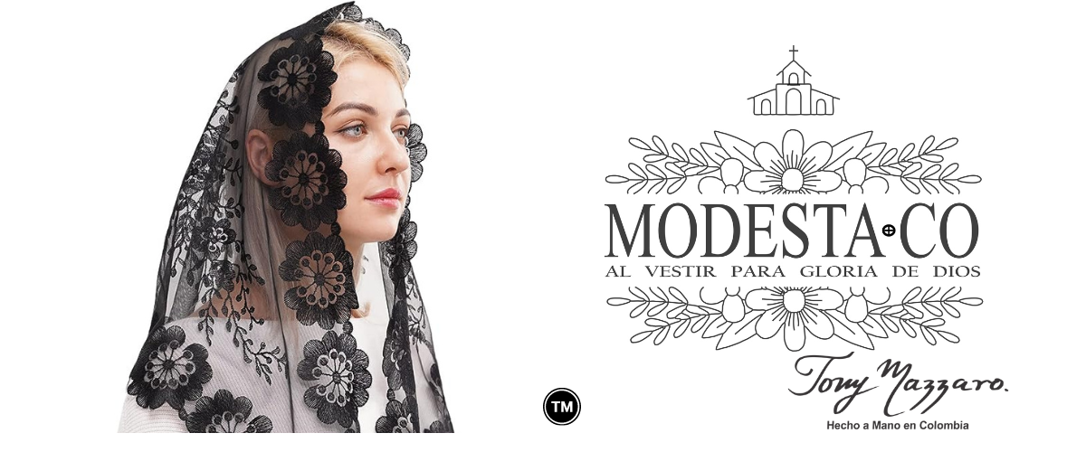 banner modesta.co 2